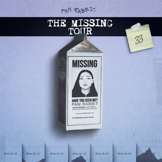 PAM RABBIT - THE MISSING TOUR